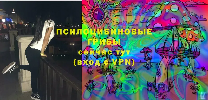 Псилоцибиновые грибы Magic Shrooms  купить закладку  Кстово 